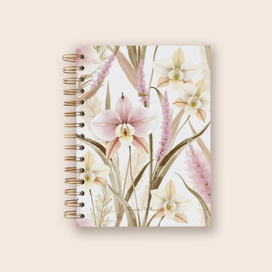 Agenda 2026 | Delicate