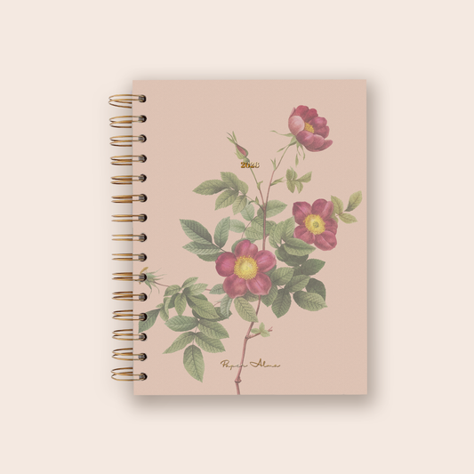 Agenda 2026 | Garden