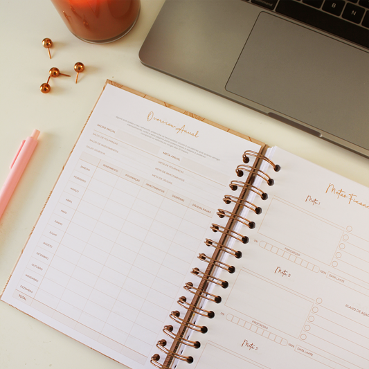 Planner Financeiro | Ginkgo