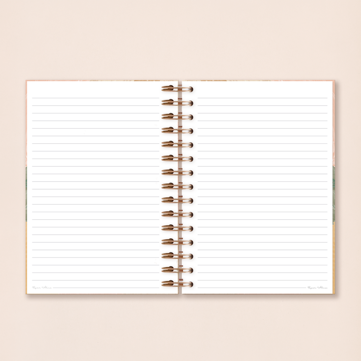 Notebook | Vanilla