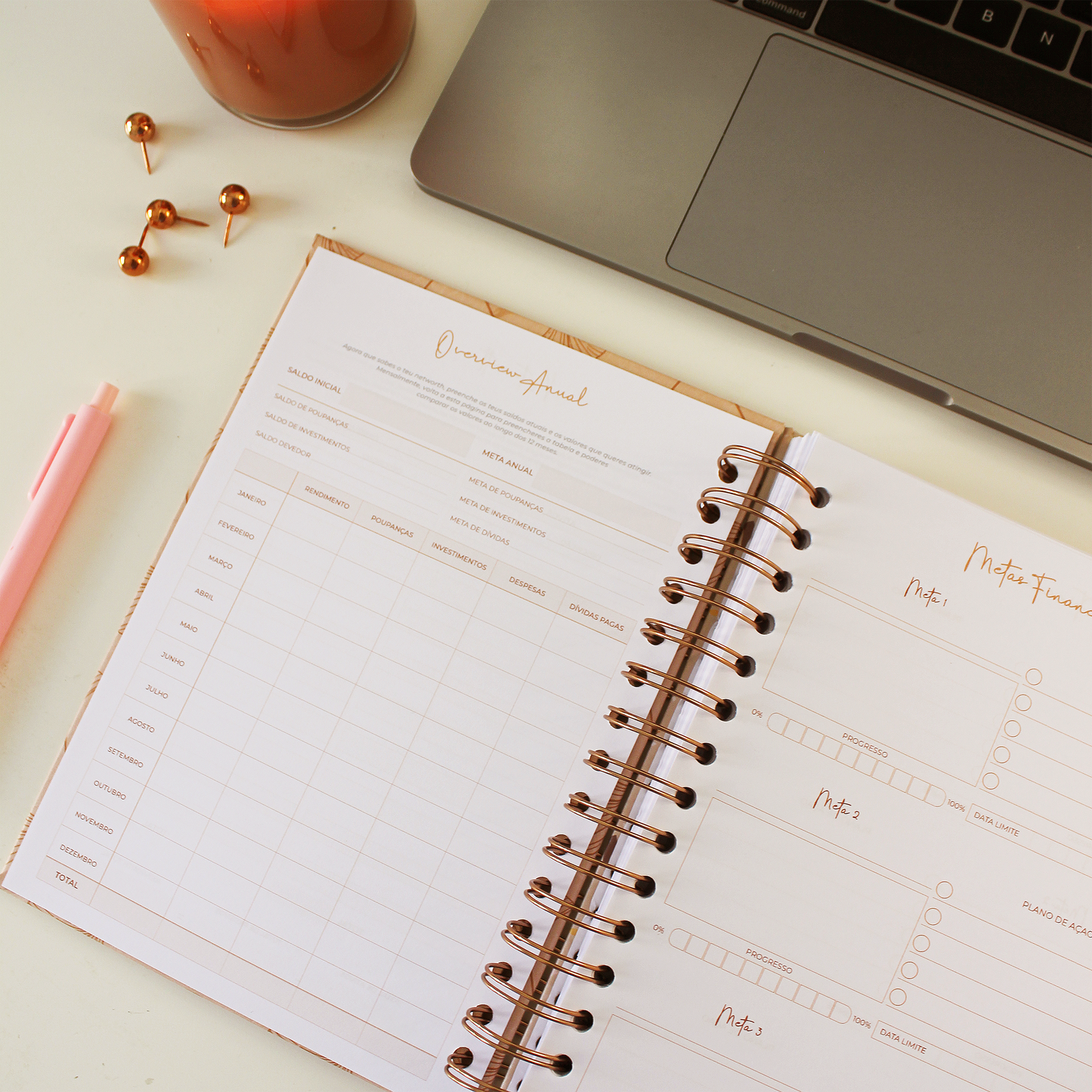 Planner Financeiro | Ginkgo