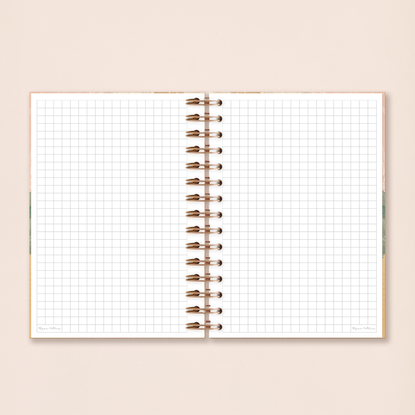 Notebook | Ginkgo